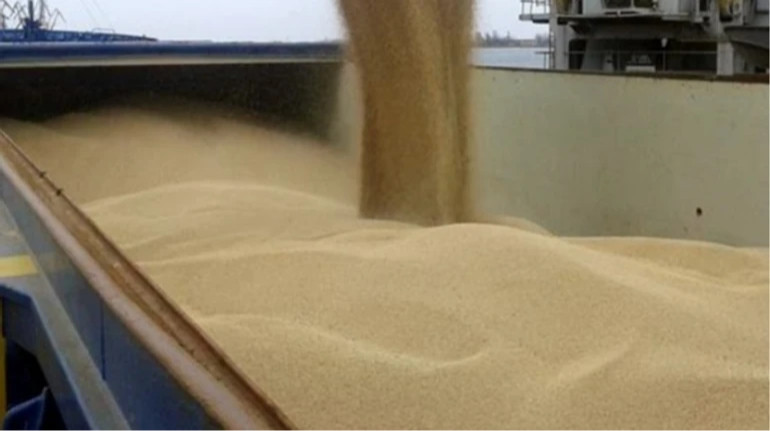 Україна застосувала санкції до суден, які перевозили крадене