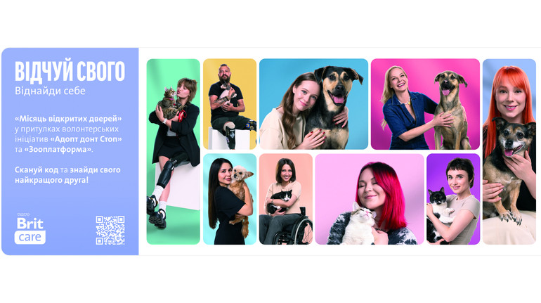 Новый стандарт КСО: что бизнес может взять из победного кейса Effie об адопции животных