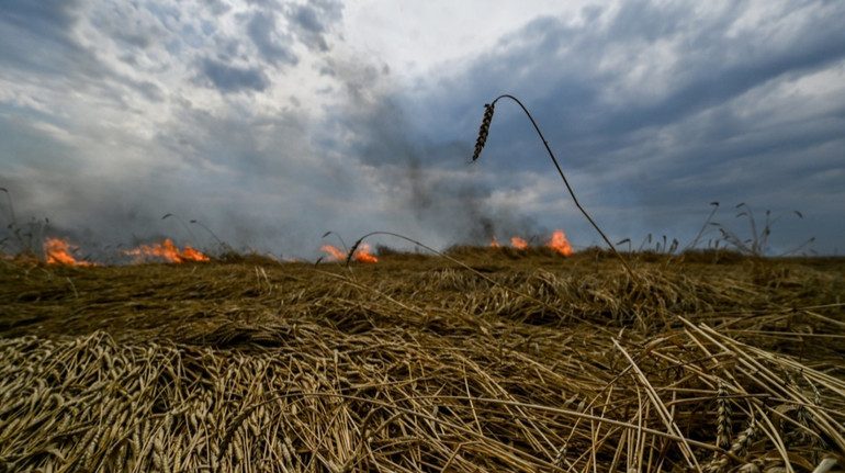 На Запоріжжі через обстріли згоріло майже 700 гектарів посівів