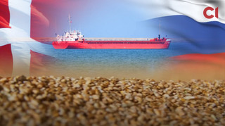 Датская компания помогает россиянам вывозить зерно из оккупированного Бердянска - СМИ