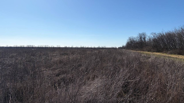 Госзембанк выиграл суд по большому участку в Одесской области: его уже выставили на торги