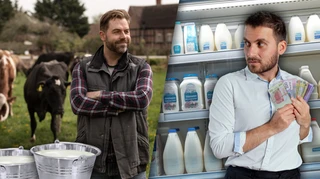 Фермеры работают в минус, а молочка в магазине не дешевеет. Кто забирает разницу?