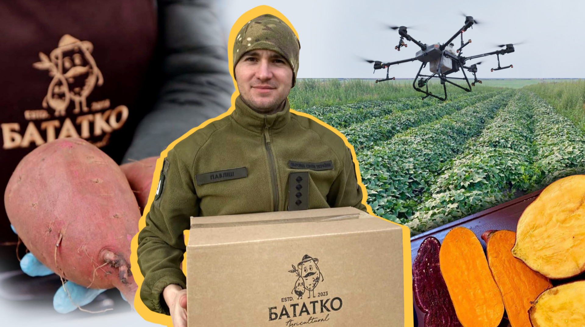 Екзотика на українському полі: як ветеран заробляє на бататі