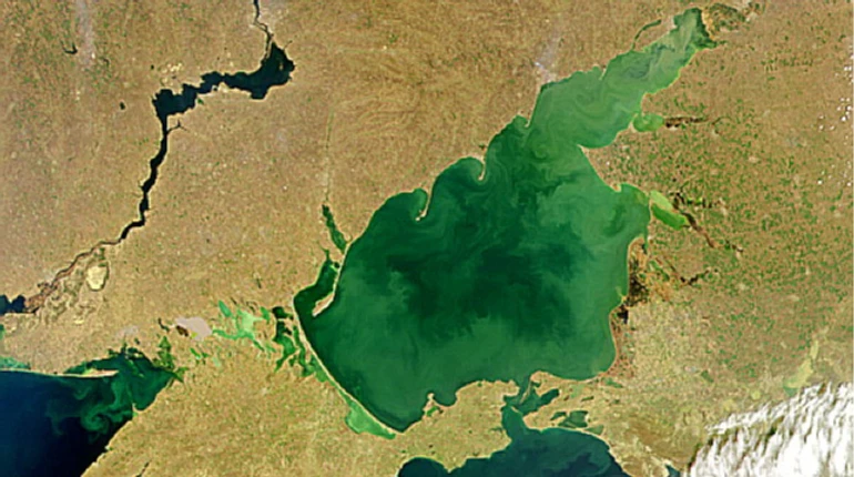 Російський олігарх Лісін продав судноплавну компанію в Азовському морі