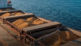 Україна перевіряє, чи РФ відновила морський експорт зерна Чорним морем
