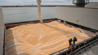 Український експорт пшениці просів майже на третину