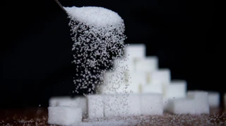 Украина экспортировала 270 тысяч тонн сахара за полгода: основные покупатели