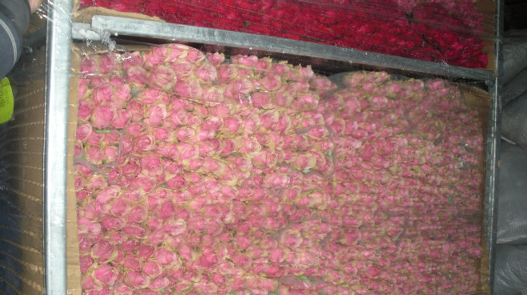 Тіньовий імпорт троянд: за 3,5 року держава недорахувалася 600 мільйонів гривень