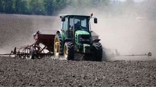 Українські аграрії засіяли озимими культурами 94,5% прогнозованих площ
