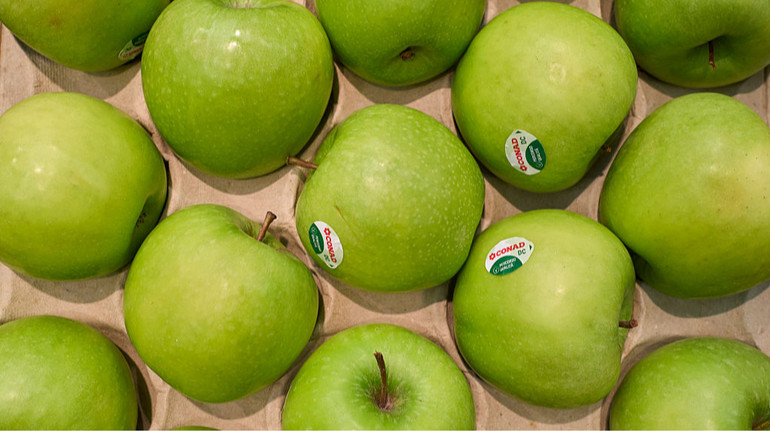 Украина в прошлом году открыла рекордные за время большой войны 22 новых экспортных рынка