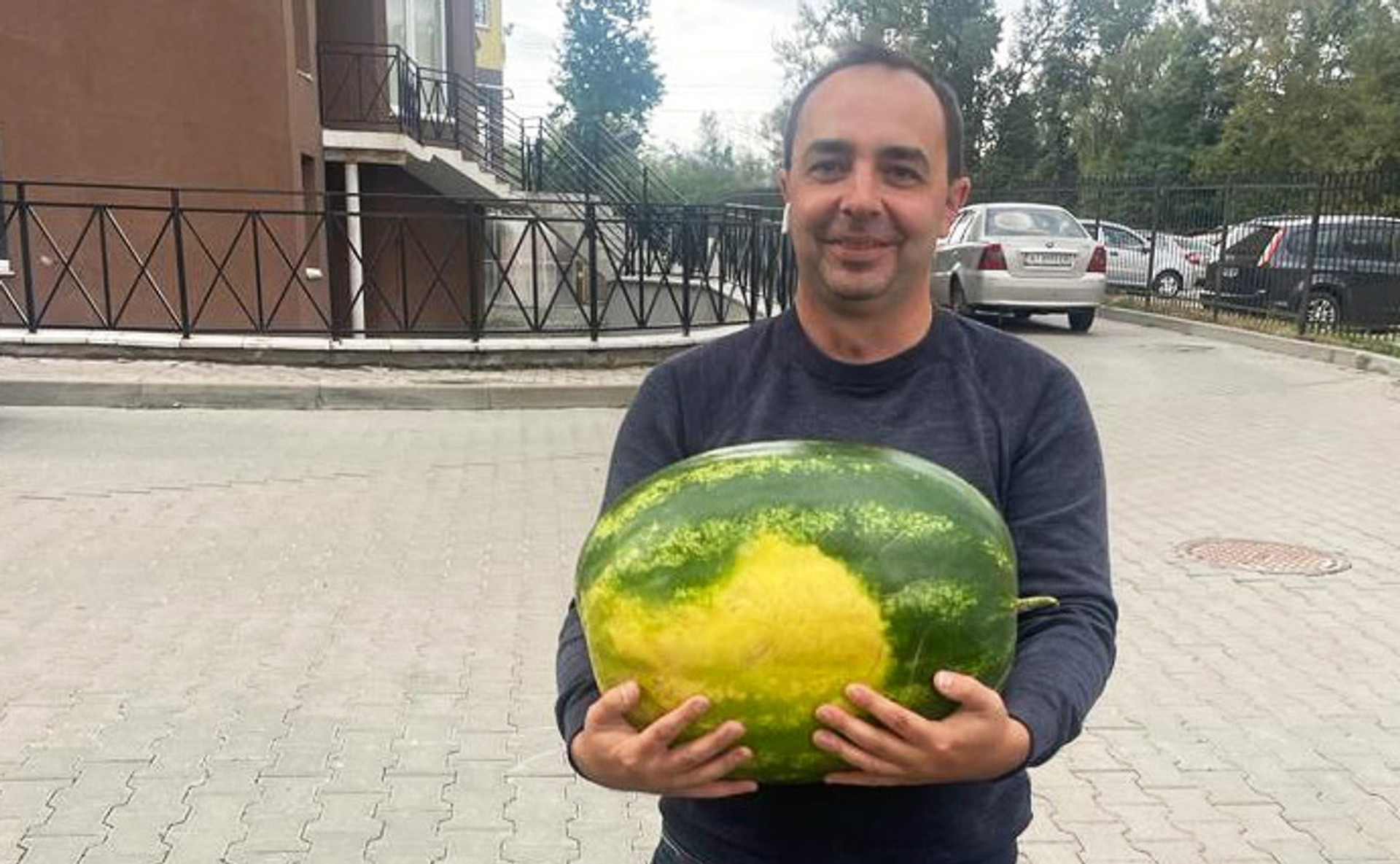 Як єРобота допомагає бізнесу оговтатися від війни. Історія агропідприємства з Київщини, що потрапило під окупацію