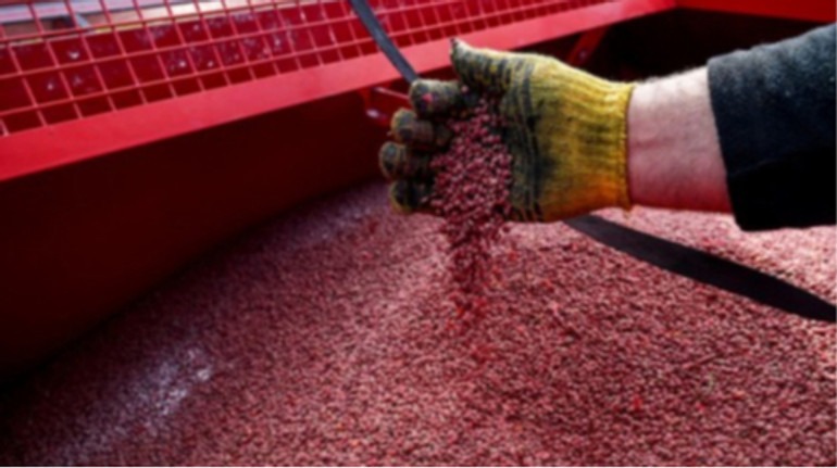 Зеленський підписав закон про запуск Виплатної агенції для фермерів: що передбачає