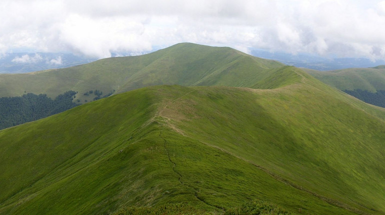 АРМА отменило торги, по которым продало землю Левочкину