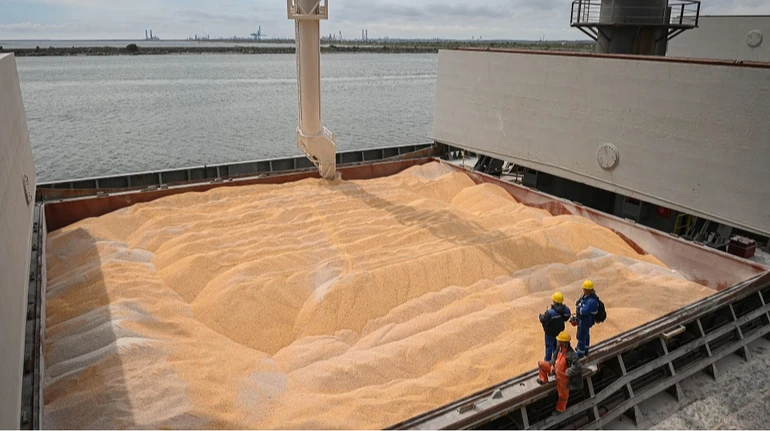 В Україні ціни на пшеницю зросли до максимуму за півроку на тлі війни в Ірані