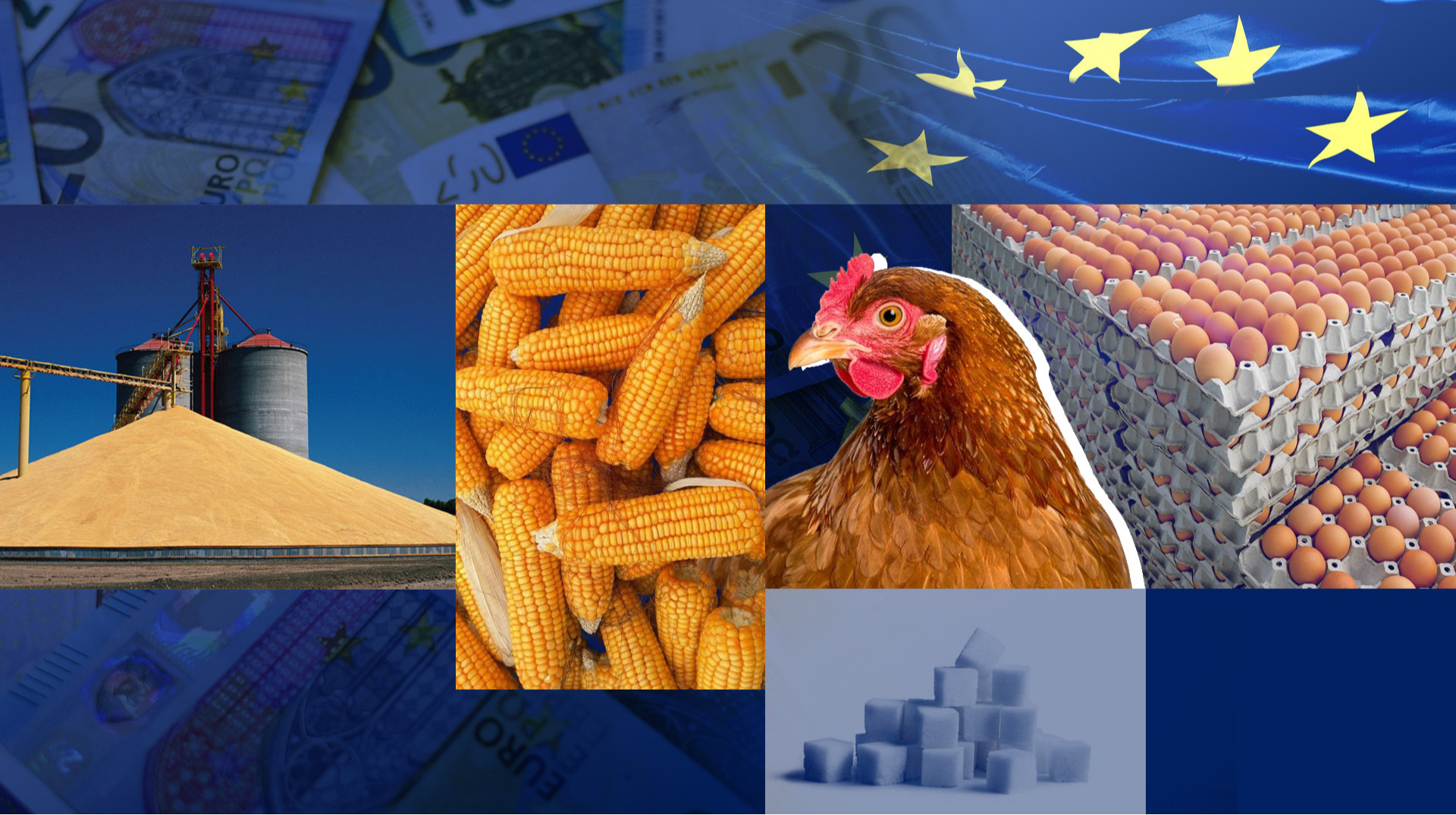 Як по квотах: Україна і ЄС домовилися про нові умови експорту агропродукції