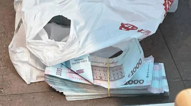 Мільйон гривень за екологічний висновок: підозри отримали два науковця