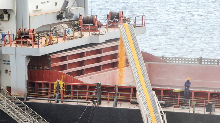 Українські морські порти за рік виконали план перевалки на понад 95%