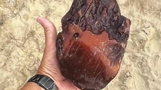 ГБР разоблачило чиновника Госгеонедр, который помогал янтарной мафии