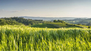 Простіша зміна цільового призначення землі: уряд подав до Ради законопроєкт