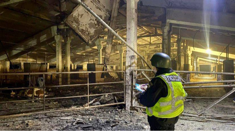 ЕКА почало приймати заяви від бізнесу на програму часткової компенсації майна, знищеного війною