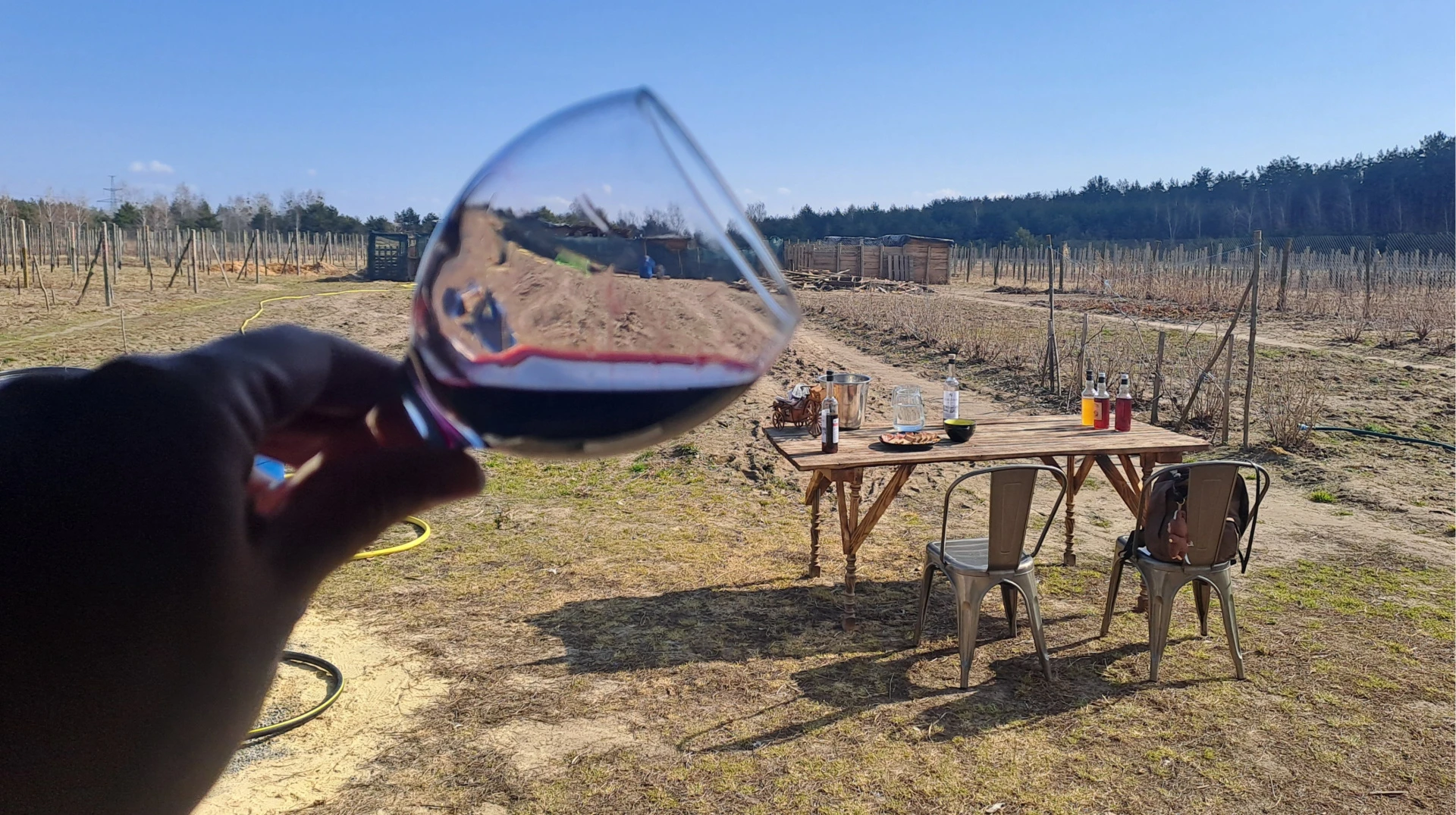 Не треба про це писати, або Одноденна мандрівка на родинну виноробню Бережних під Києвом