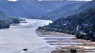 Уровень воды в Рейне упал до критически низких показателей