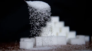 Украина потеряет 20% экспорта сахара - УКАБ