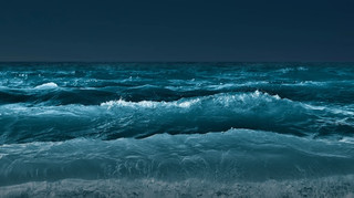 Браконьєри з РФ завдали величезних збитків у Чорному та Азовському морях: які суми