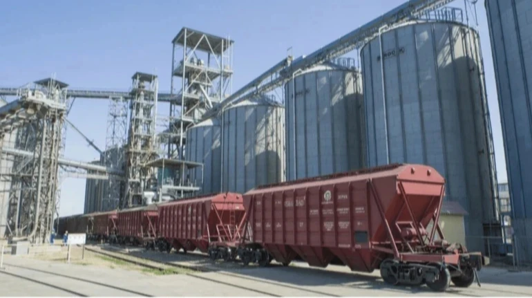 Україна скоротила експорт зернових: обсяги однієї культури зменшилися в 54 рази