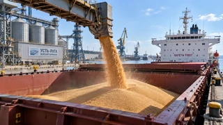 Отгрузка российского зерна через порты снизилась в разы