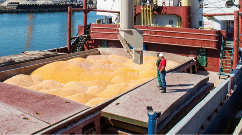 Kernel увеличил урожай на 43% в 2025 году