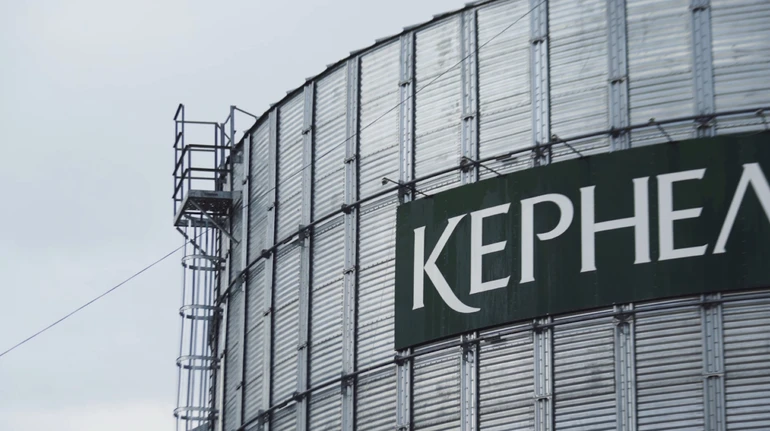 Агрохолдинг Кернел подвоїв чистий прибуток за квартал
