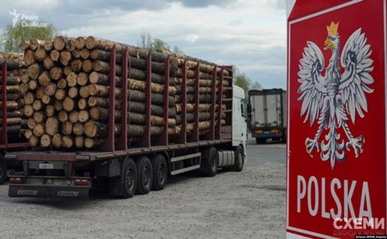 Польща пропускає в ЄС підсанкційну деревину з Білорусі за фальшивими документами – розслідування