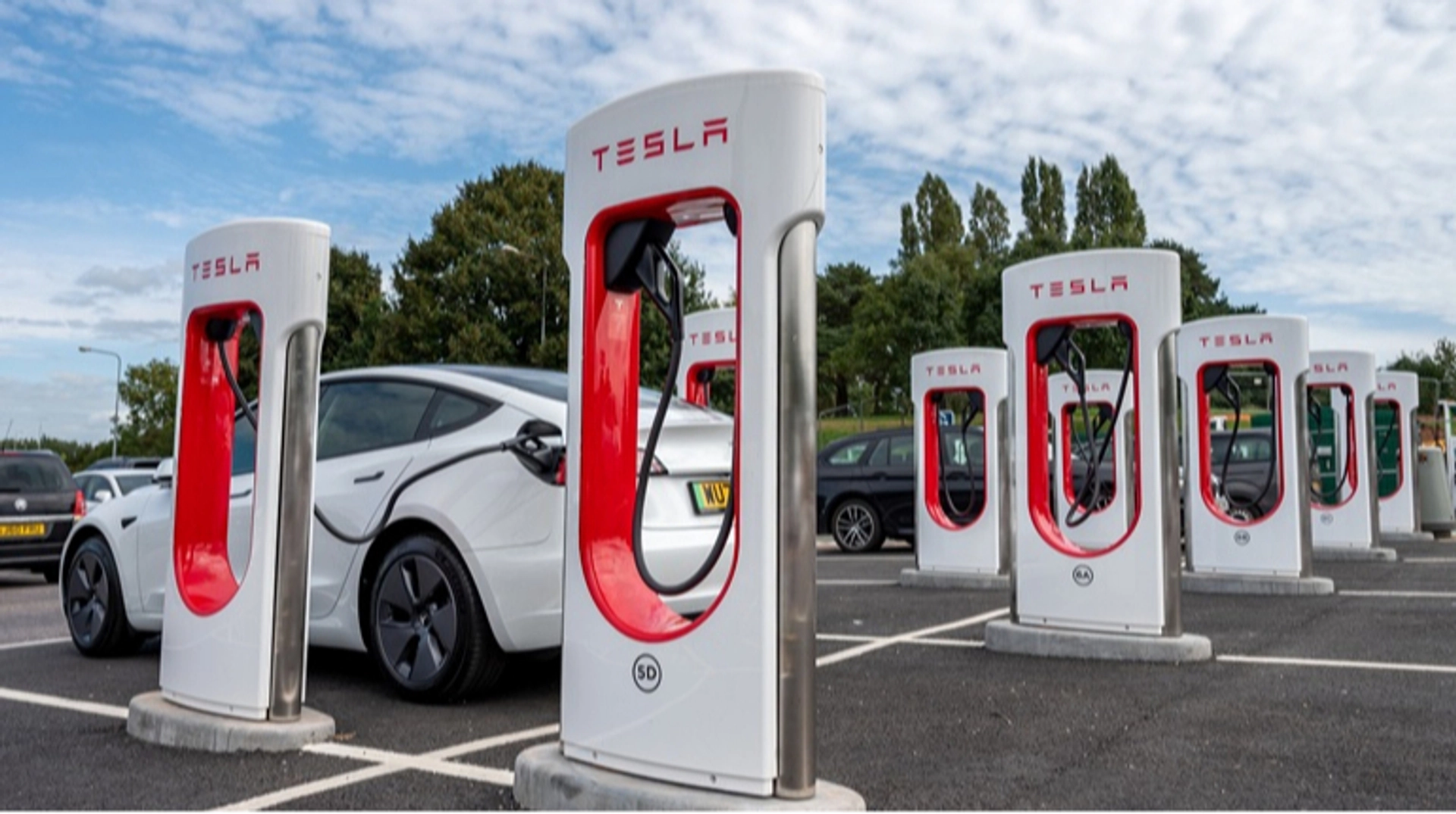 Хто найбільший виробник електромобілів: Tesla випередила BYD