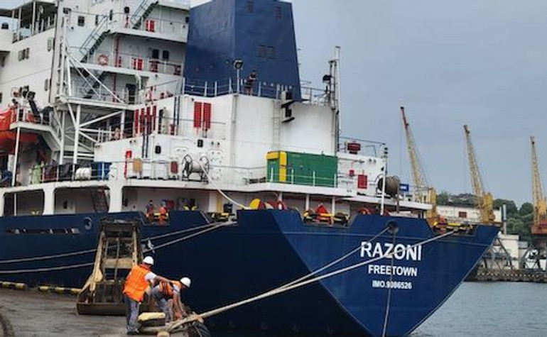 Перше судно з українським зерном, від якого відмовився Ліван, пришвартувалося в Сирії