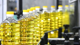 Из-за дефицита электроэнергии остановился маслопрессовый завод на Киевщине