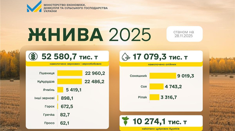 Жнива завершуються: скільки зерна матиме Україна