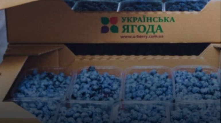 АРМА передало в управління одного з найбільших виробників ягід
