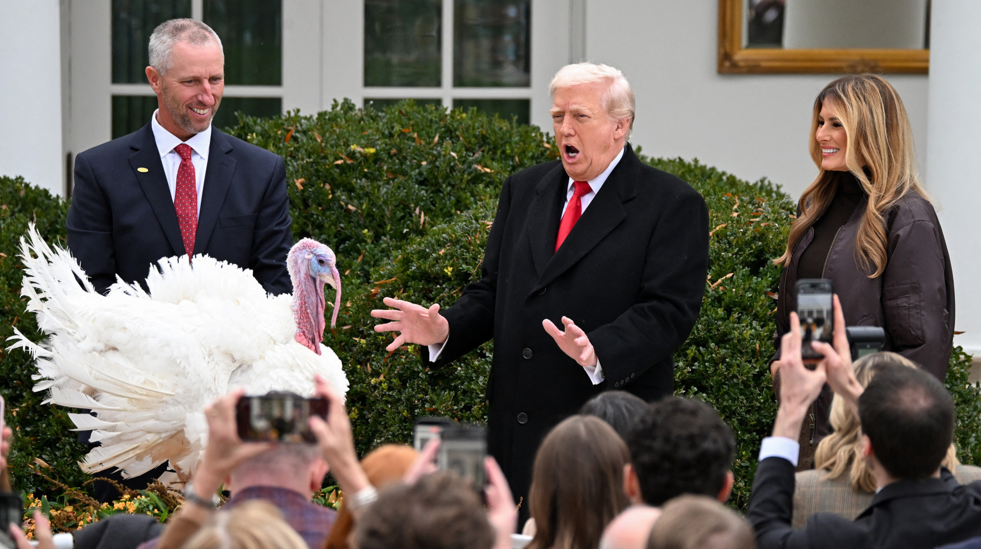 Экономика Рождества: как цены на индюков разоблачили проблемы Трампа с инфляцией