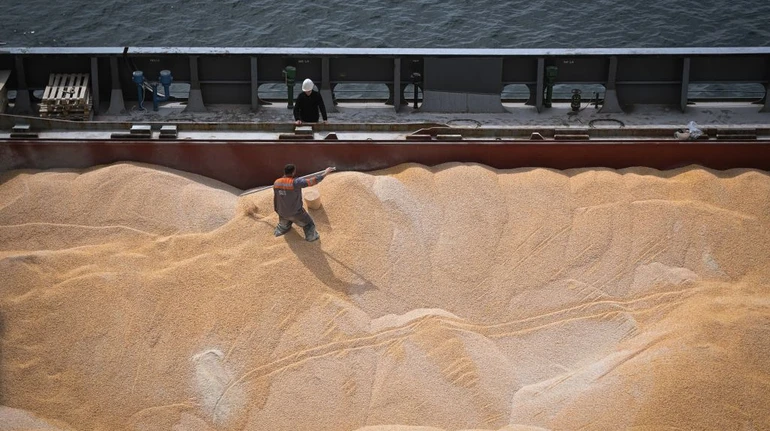 Українські порти не справляються з експортом кукурудзи: з’явилися черги