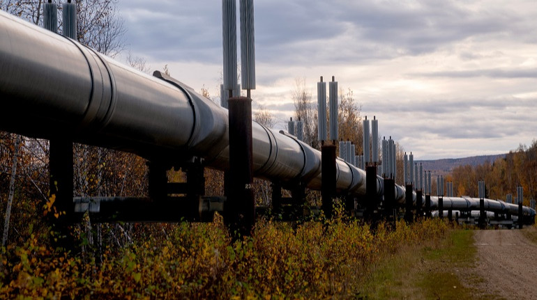 Нафта падає на тлі зростання запасів бензину в США та очікування зустрічі ОПЕК+