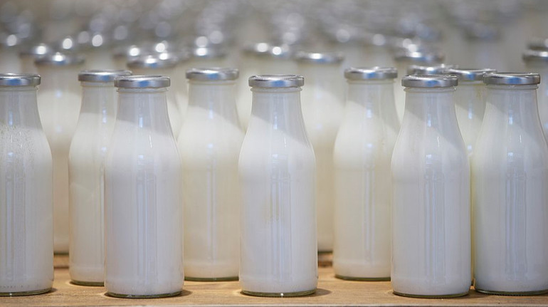 В Україні знизились ціни на молоко: скільки воно коштує