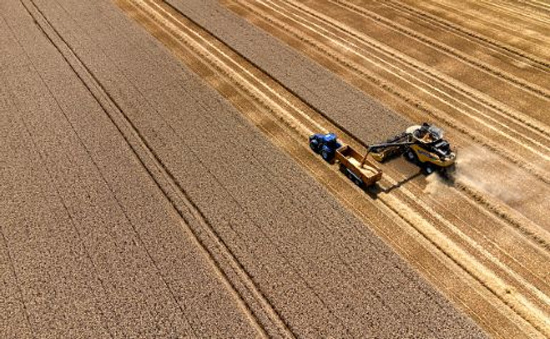 Експорт української агропродукції впав на 7%, порівняно з минулим роком