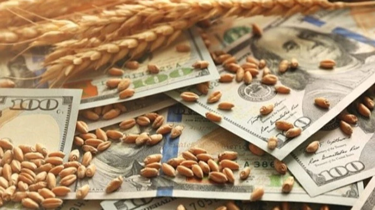 Нетипичная ситуация: падение экспорта может привести к рекордным остаткам пшеницы