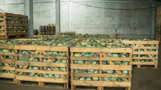 Государство впервые профинансировало строительство овощехранилища