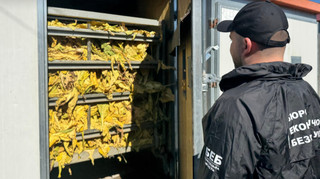 Будут судить фермера по делу о нелегальном табачном бизнесе на 30 миллионов