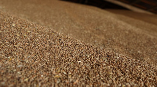 Украинские фермеры смогут бесплатно получить модульные зернохранилища