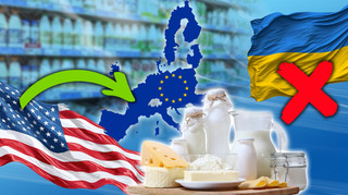 Молочные Штаты Америки. Украинский набел с рынка ЕС вытеснит продукция из США