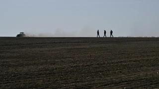 На земельном фронте без перемен: посевная кампания 2026 года проходит без потерь