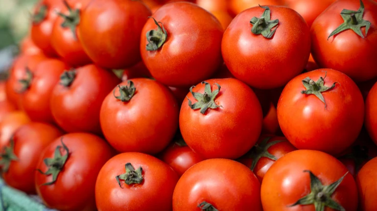 В Україні підскочили ціни на тепличні томати: скільки вони коштуть